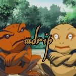 wdrip