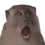 Official Pogchimp Family