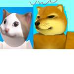 流浪動物收容所