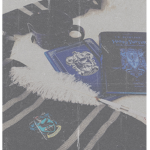 Ravenclaw common room