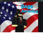 Doge America :)