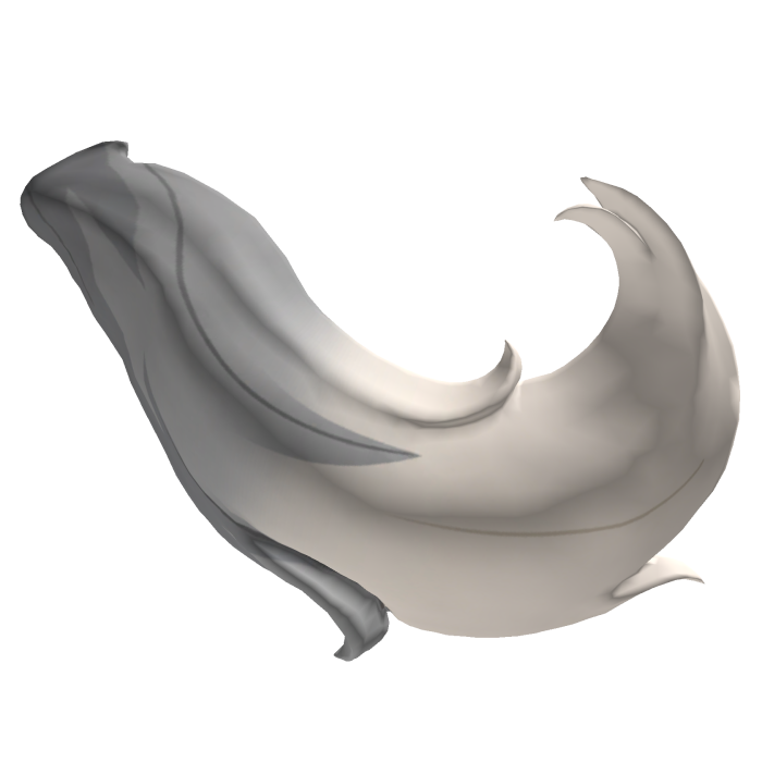 Soft Gray Wolf Tail