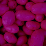 Purple Potato Studios