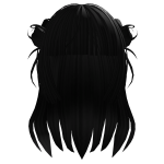 Black Hair with Buns and Bangs 