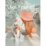 {Loly outfits}