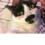 Sweethearts.