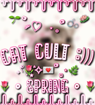 Cat Cult :)))