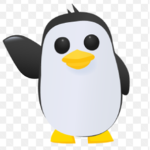 penguin super fan Group