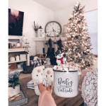 Daisy_Bears
