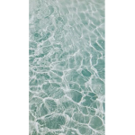 dunkin.livia