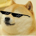 De Doge Cult