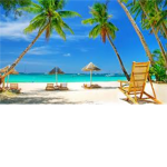Beach Reach