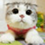 Tyler's Gang!!