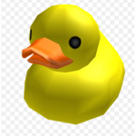 +Ducks and buds+