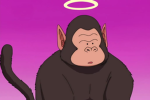 monkey is op lets go