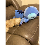 New York Yankees Russo
