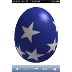 Starry Egg of Wild Ride Organization