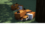 Fox Owner