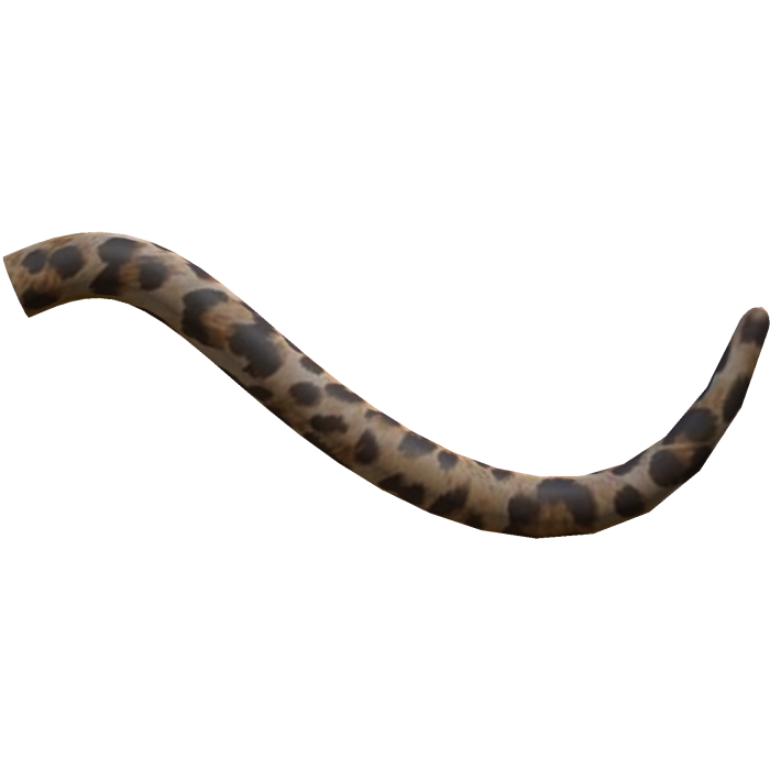 ♡ cute leopard cat tail