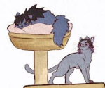 ||-Cat's Kny Fan Group-||