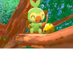Team Pokemon adventures