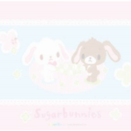 ꒰♡꒱