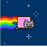 Kittys are awesome
