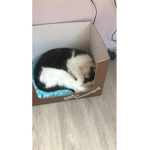 Mia die Coole