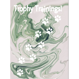 Trophy Trainings! (BETA)