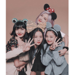 BLACKPINK BLINKSs