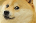 Cool Gamerz!