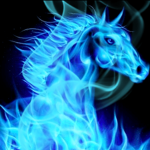 Oak horse riding Academy