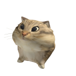 Goofy Cat