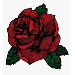 magical rose