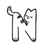 N🐱
