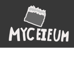 MyceIeum Lounge