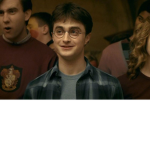 ~HarryPotterHeads~