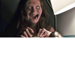 Terror