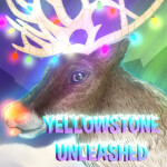 [⛄🎁] Yellowstone Unleashed