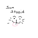 Sum Stuoid