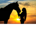 .+*Golden Oak Stables*+.