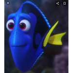 Dory