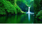 youcef_sonic