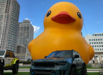 the epic group of the duck