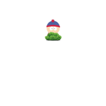 STANS BUSH ARMY
