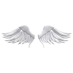 Angel Wings