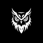 NIGHTОWL