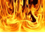 Team Scorch (PF)