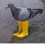M e l a n i e M a r t i n e z G r o u p