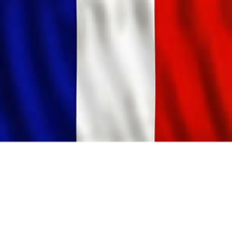 1er Voltigeurs : La Rothiere